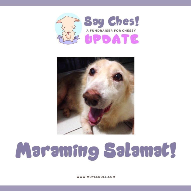 SAY CHES - UPDATE 3